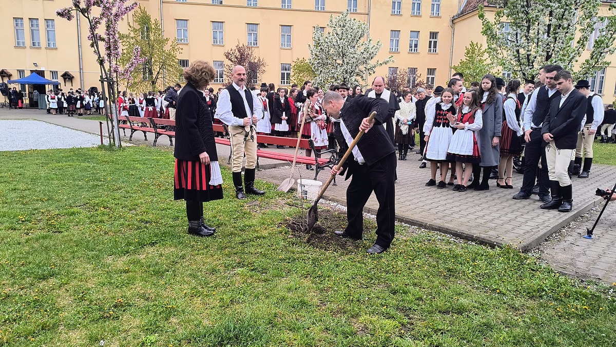 Barabás-Pál Hajnalka